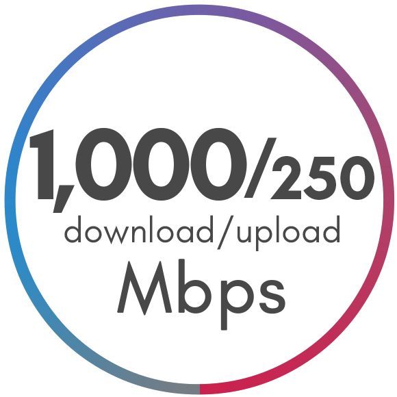 1000 Mbps Package