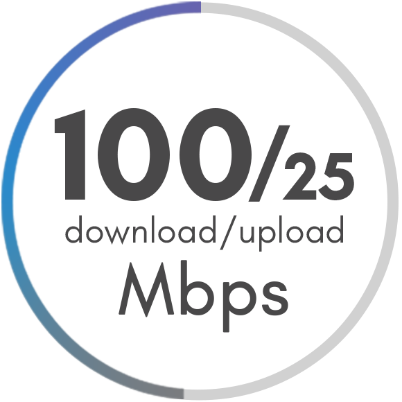 100 Mbps Package