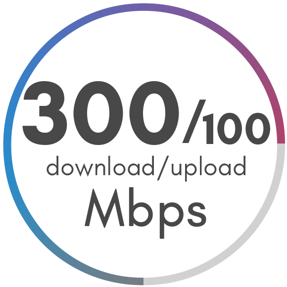 300 Mbps Package